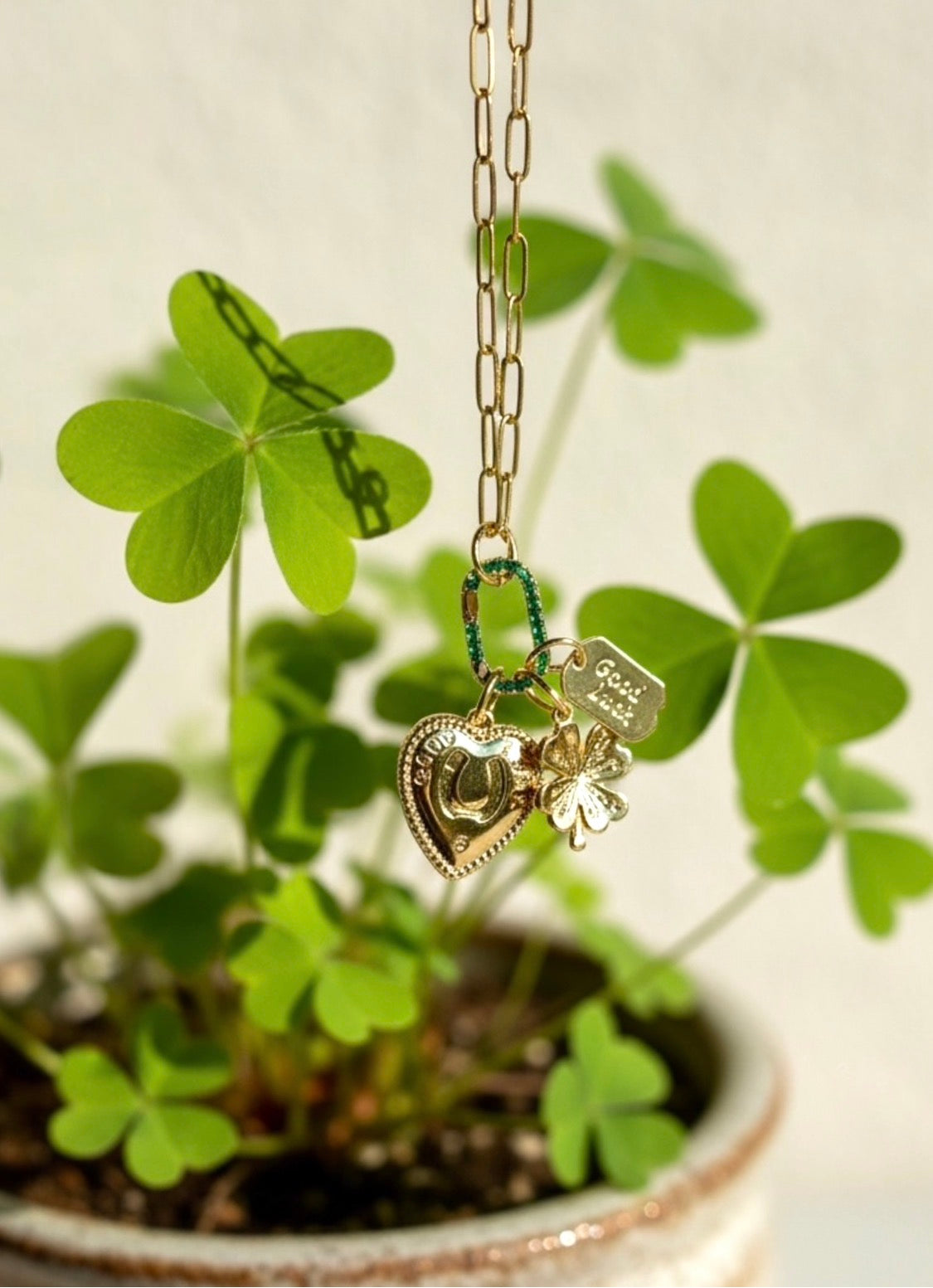 The Fortune Keeper Necklace