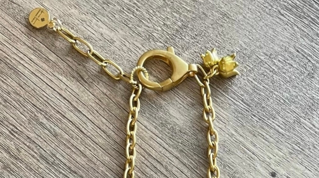 Matte Carnelian Bead Bar Chain: 24k gold chain with bead bar center OOAK